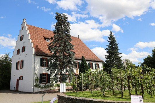Euerdorf