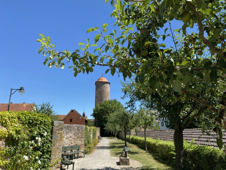 Hammelburg - Älteste Weinstadt Frankens