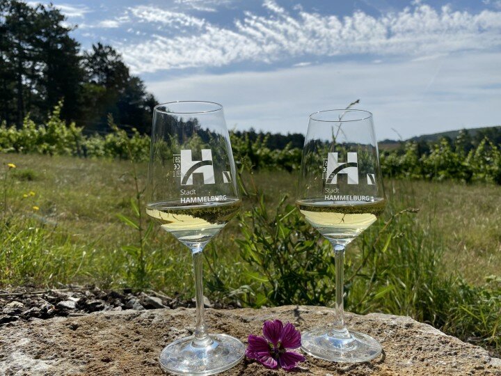 Weingenuss im Weinberg