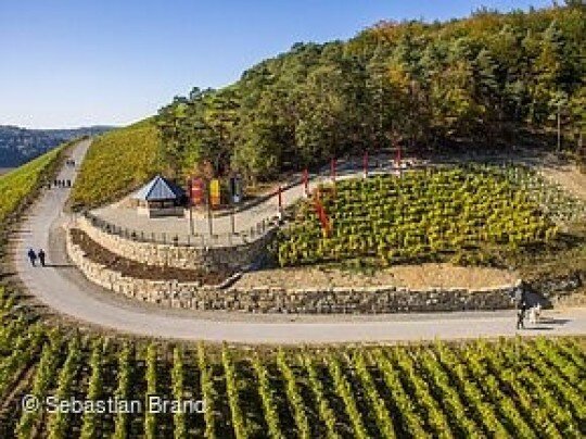  Terroir f Punkt Ramsthal 